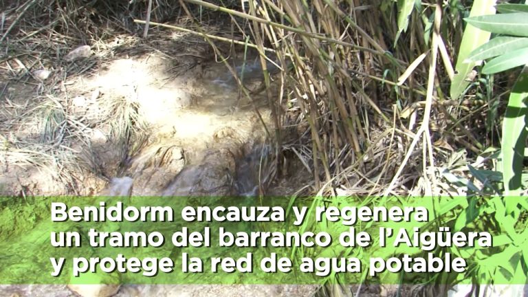 ¿Es segura el agua de Benidorm para beber?